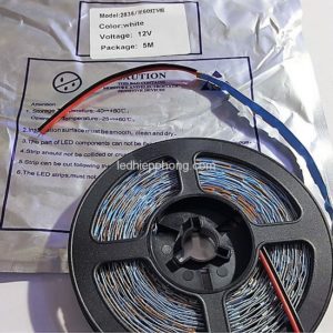 LED light with wires