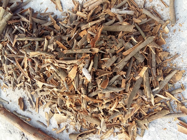 Broken cassia