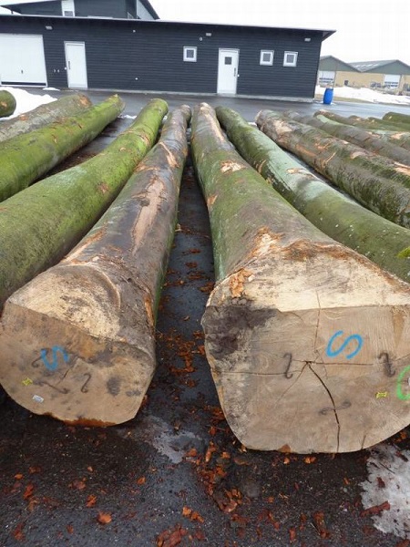Natural wood