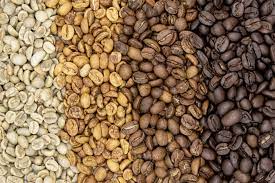 Roasted Coffee Bean