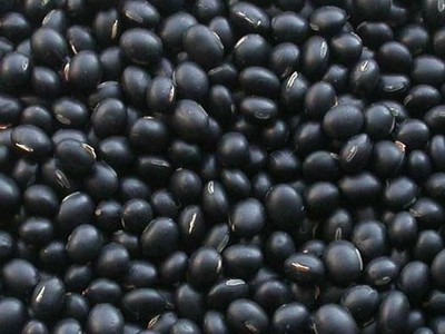 Black beans