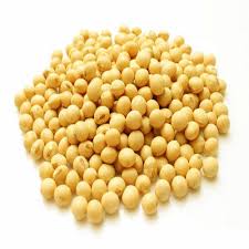 Yellow Soybean