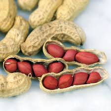 Red Peanut