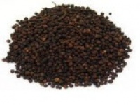 Black pepper