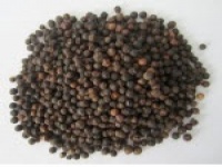 Black pepper