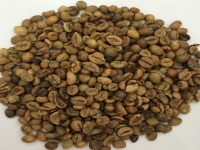 Robusta Coffee Grade 2 Screen 13