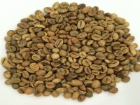 Robusta Coffee Grade 2 Screen 16