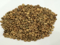 Robusta Coffee Grade 2 Screen 18