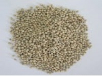 White pepper