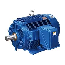 TECO Electric Motor