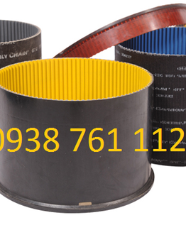 Polychain belt
