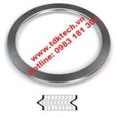 Gaskets and Seals