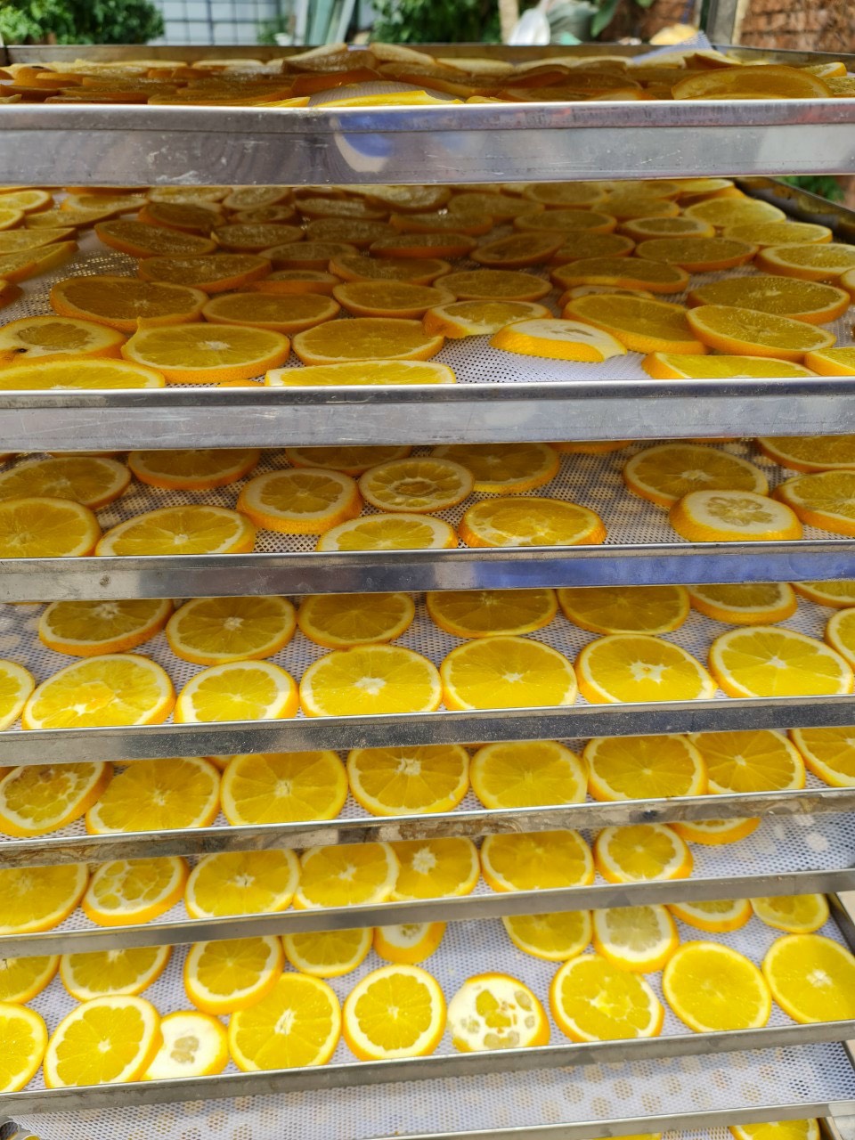 Dried oranges Detox