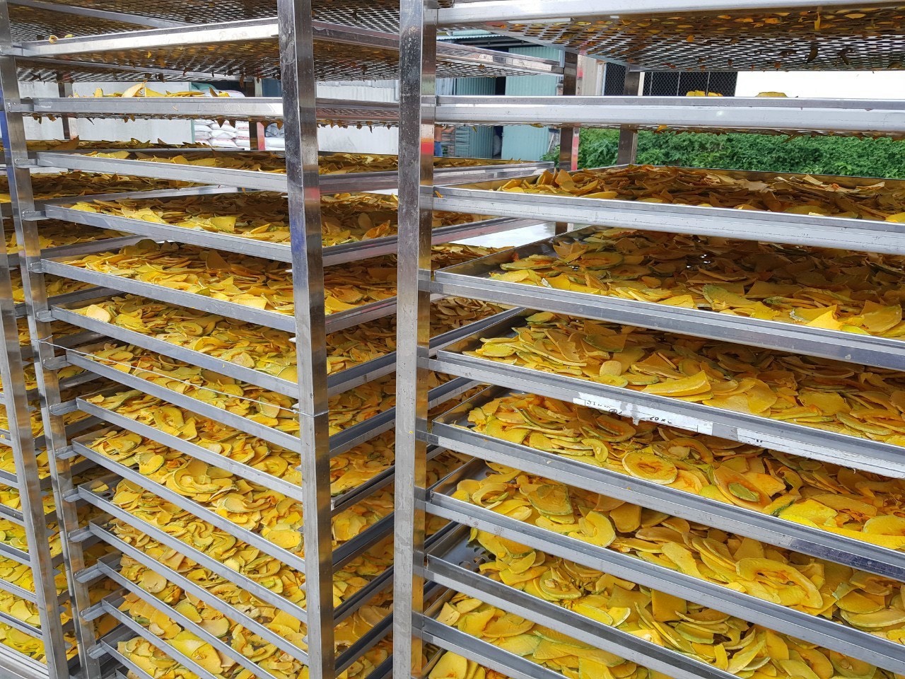 Dried pumpkin