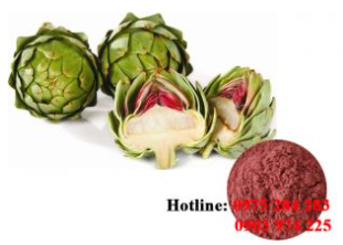 Artichoke flower powder