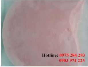 Papaya powder