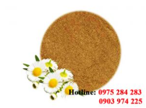 Chrysanthemum powder