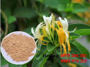 Honeysuckle powder