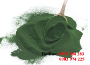 Seaweed powder