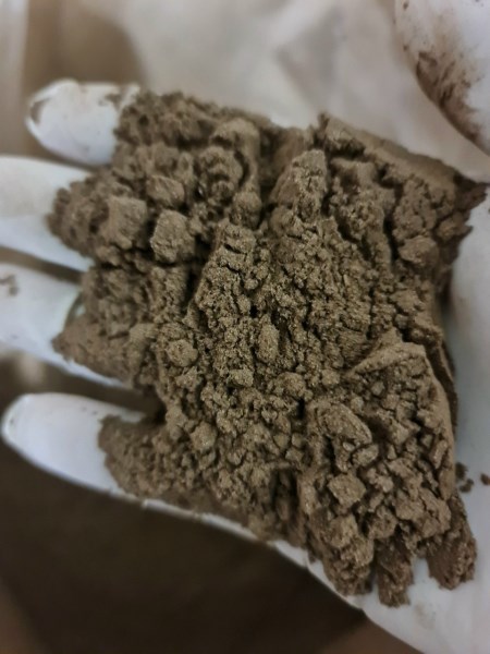 Green chiretta powder