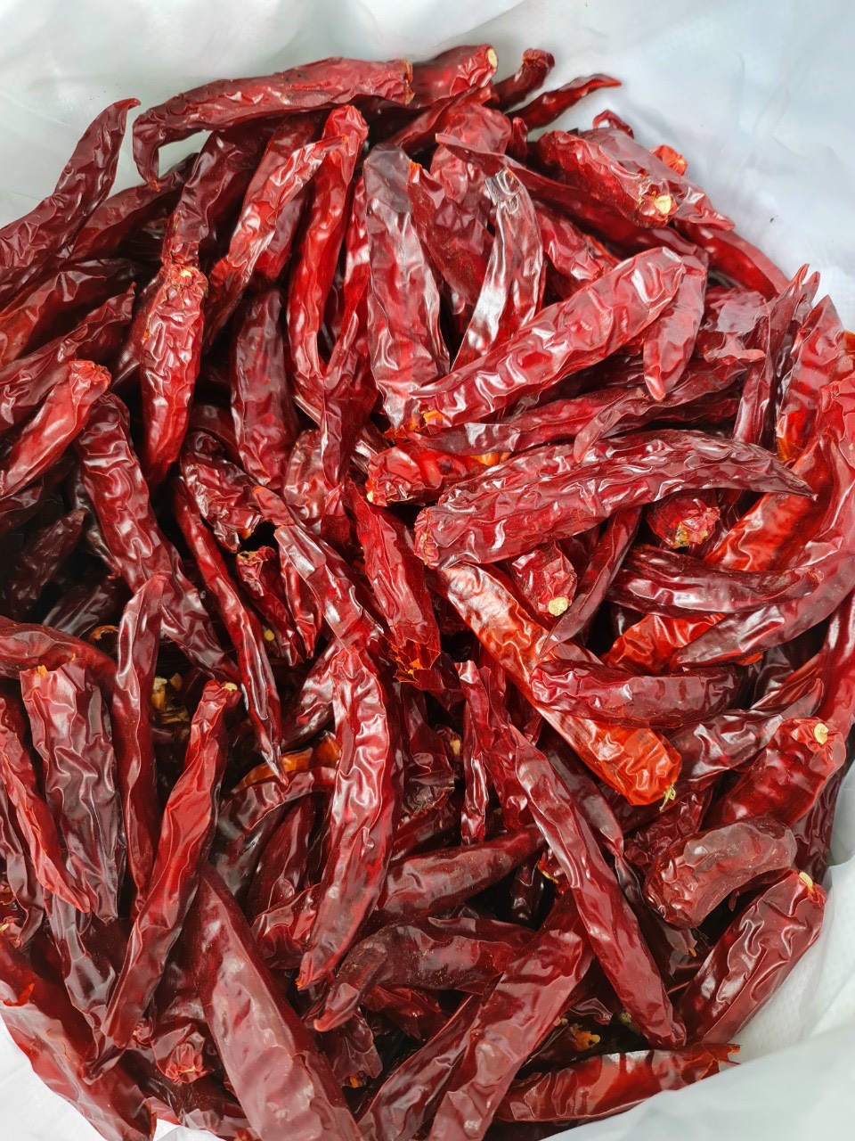 Dried chili