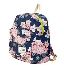 Student backpack