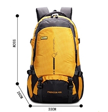 Travel backpack