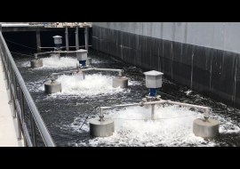 Surface Aerator