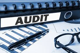 Insurance audit