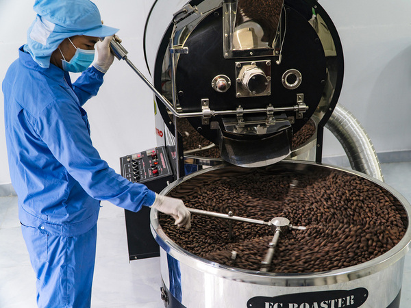 Ca Cao Xuan Ron Cho Gao Chocolate Factory