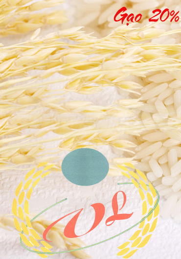 Rice 20%