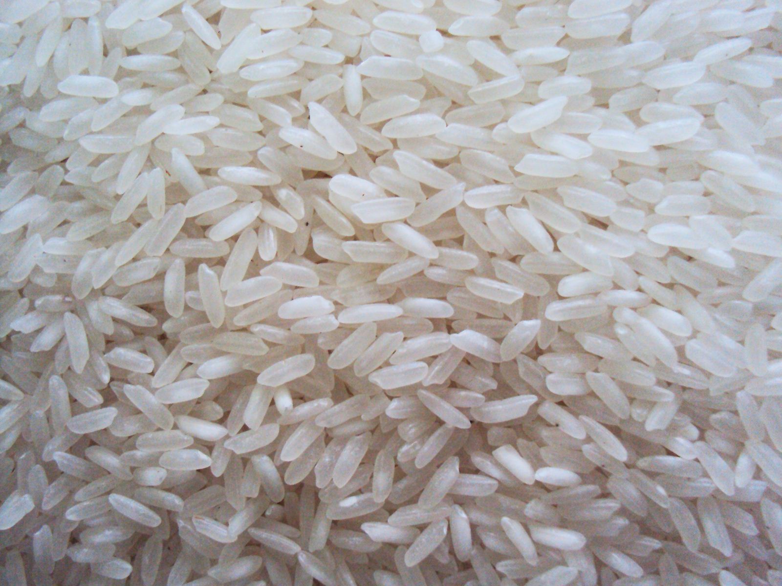 4218 Rice