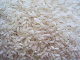 4900 Rice