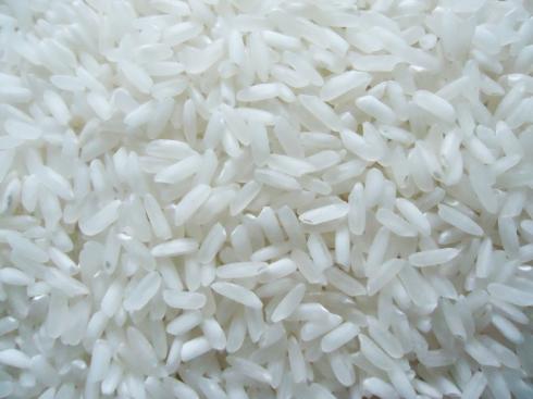 504 Rice