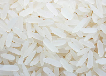 5451 Rice