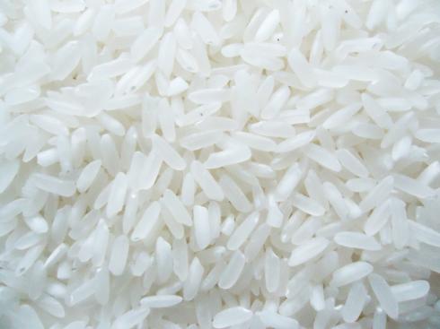 6976 Rice