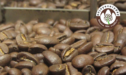 Arabica roasted coffee bean