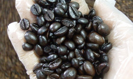 Robusta roasted coffee bean