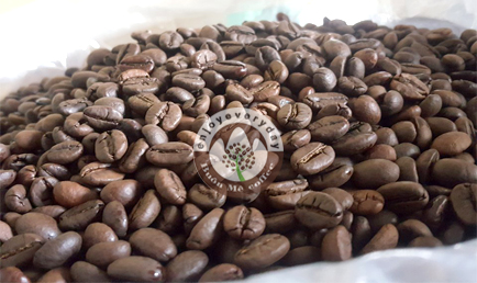 Robusta honey roasted coffee bean