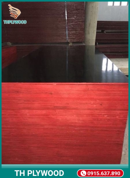 Construction plywood