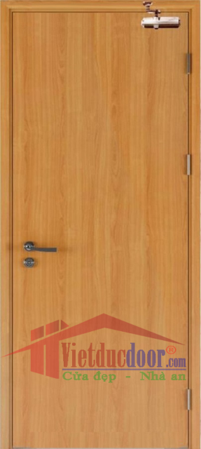 Fire-Rated Wooden Door