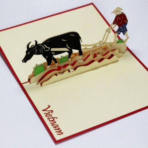 Buffalo 3D card