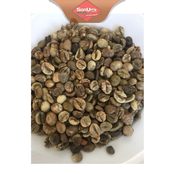 Robusta coffee