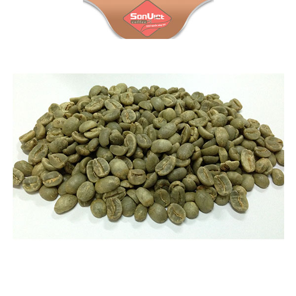 Typica coffee beans