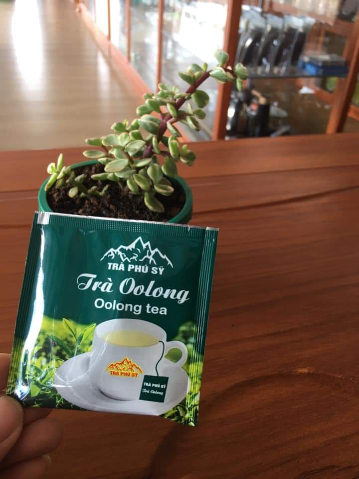 Oolong Tea