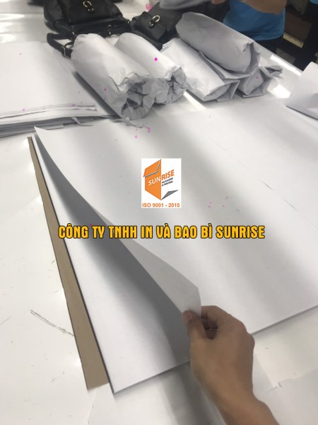 Shoe Stuffing Paper