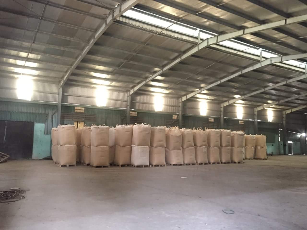 Wood powder