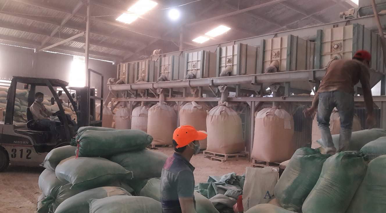 Wood powder
