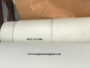PVC Conveyor