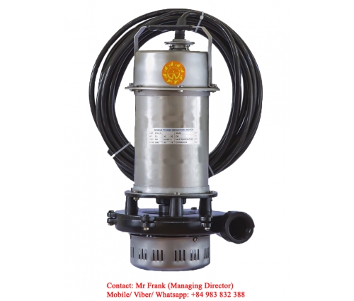 Submersible High -  Head Pump